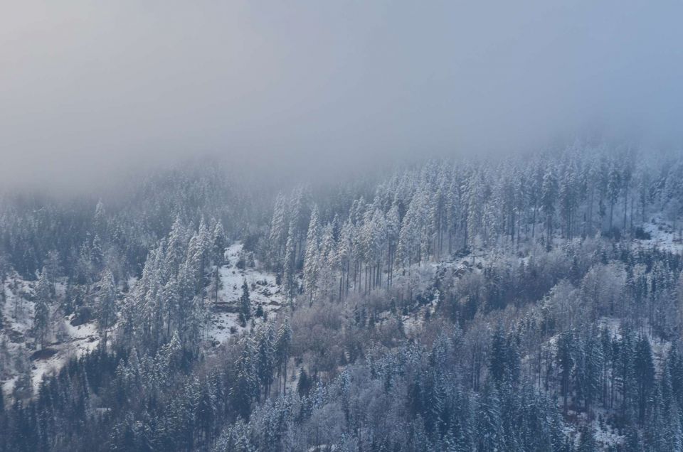 Novoletni utrinki in predvečer 70. roj. dne - foto povečava