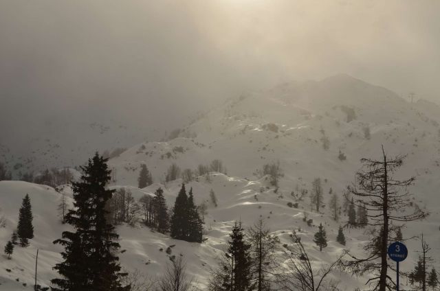 Smučanje Vogel 11.1.2014 - foto