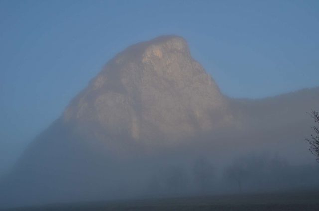 Mrežce preko planine Javornik 12.1.2014 - foto