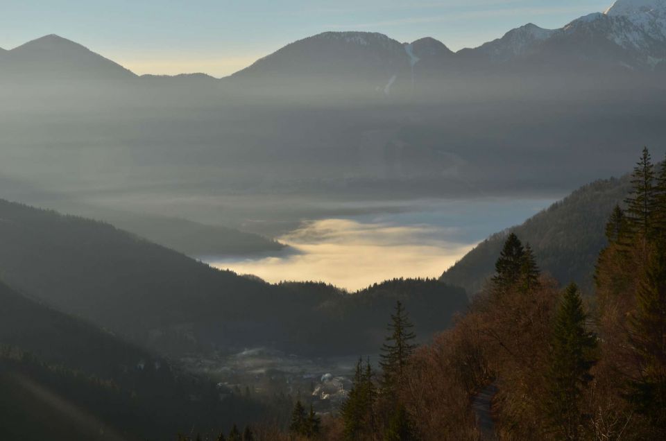 Mrežce preko planine Javornik 12.1.2014 - foto povečava