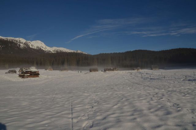 Mrežce preko planine Javornik 12.1.2014 - foto