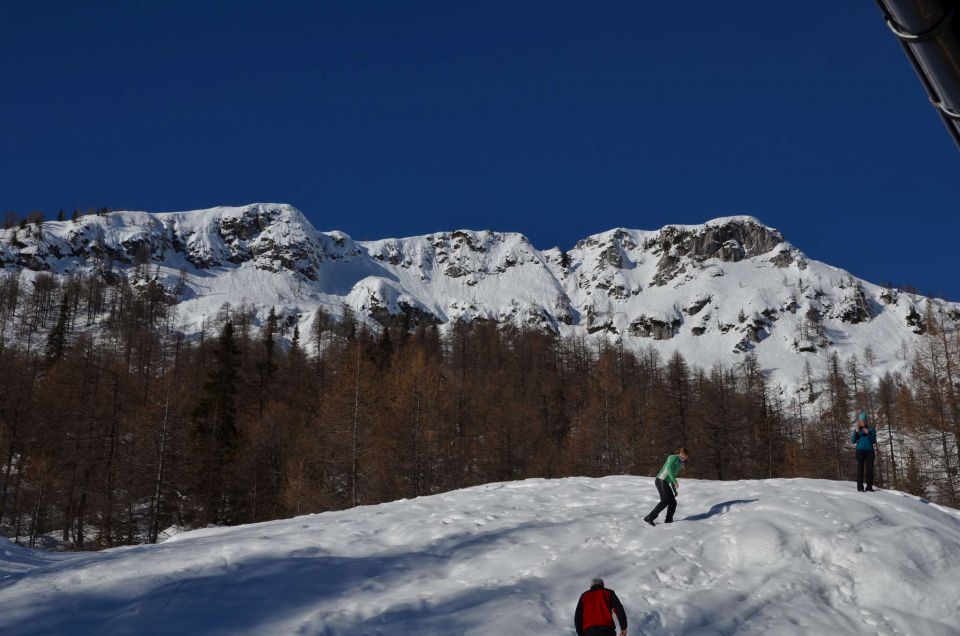 Mrežce preko planine Javornik 12.1.2014 - foto povečava