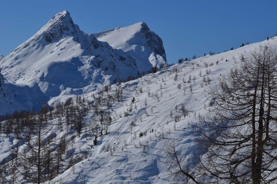 Mrežce preko planine Javornik 12.1.2014 - foto povečava