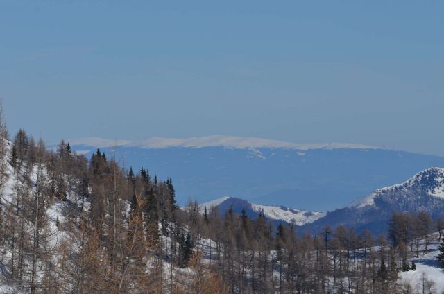 Mrežce preko planine Javornik 12.1.2014 - foto