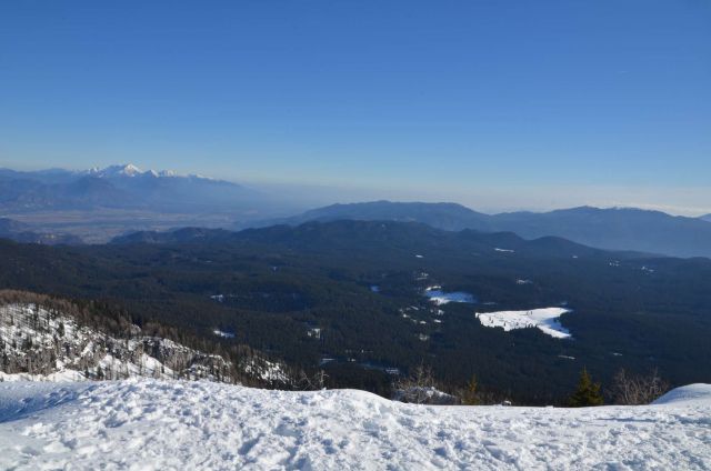 Mrežce preko planine Javornik 12.1.2014 - foto
