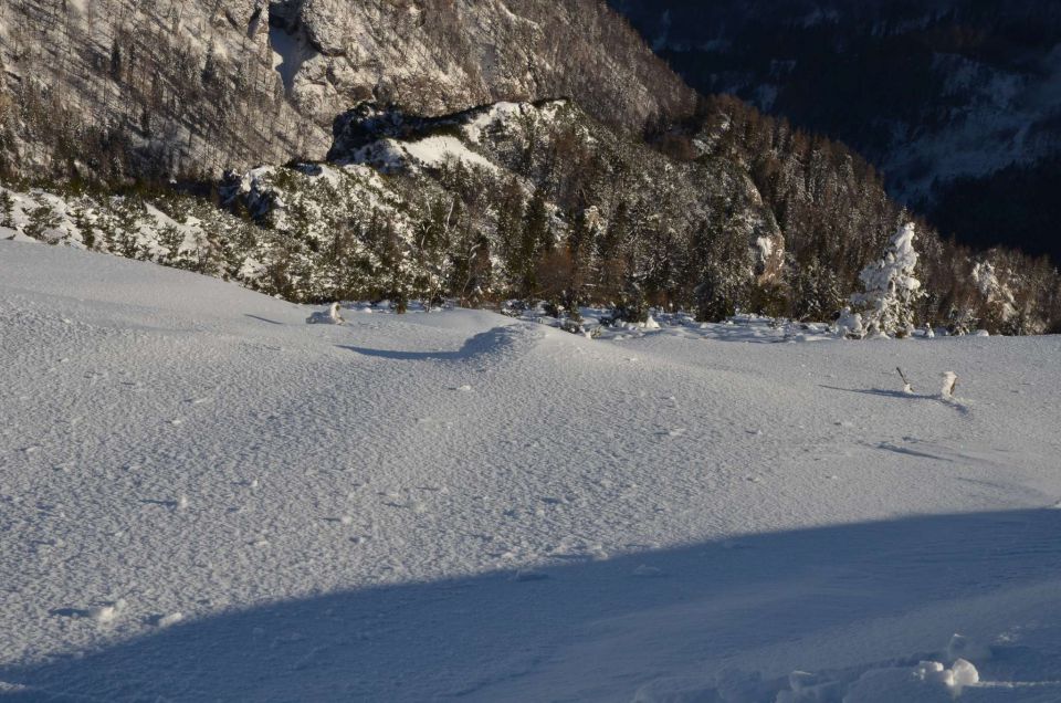 Smučanje Krvavec 25.1.2014 - foto povečava