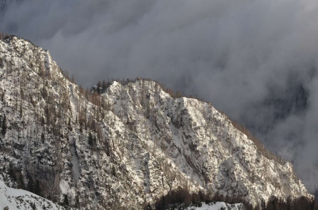 Smučanje Krvavec 25.1.2014 - foto