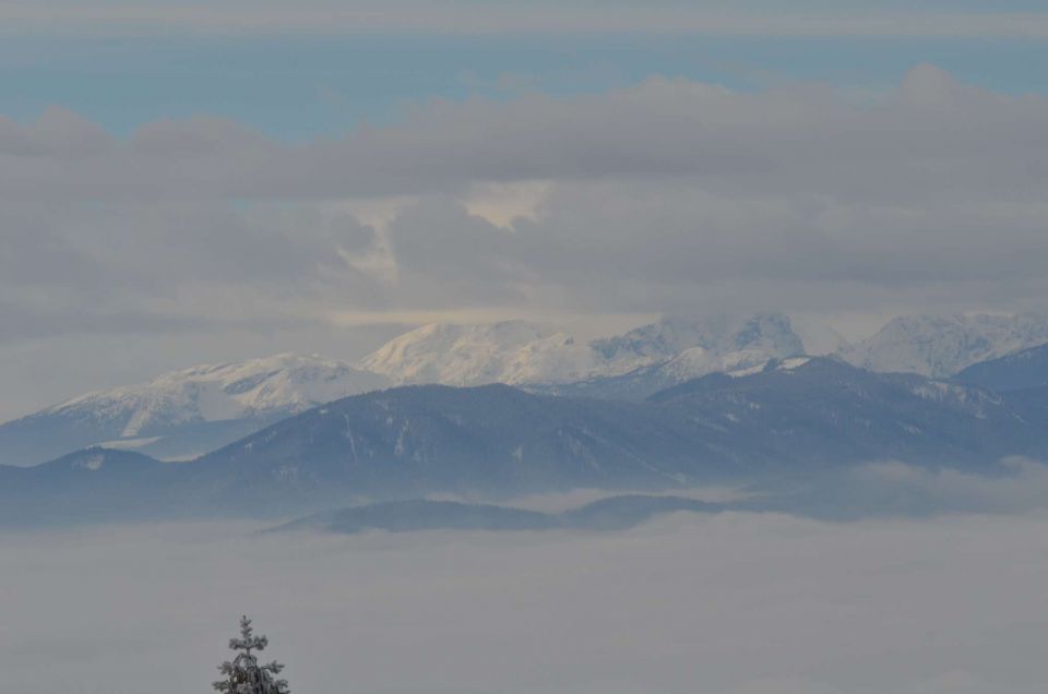 Kope 26.1.2014 part I. - foto povečava