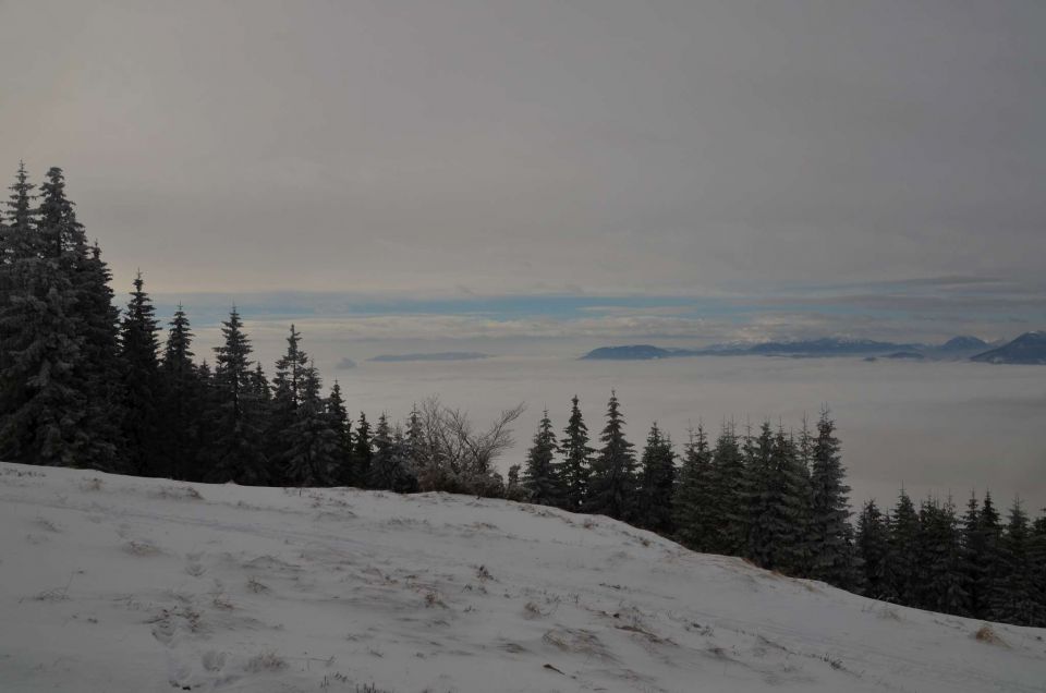 Kope 26.1.2014 part I. - foto povečava