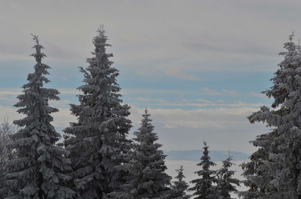 Kope 26.1.2014 part I. - foto povečava