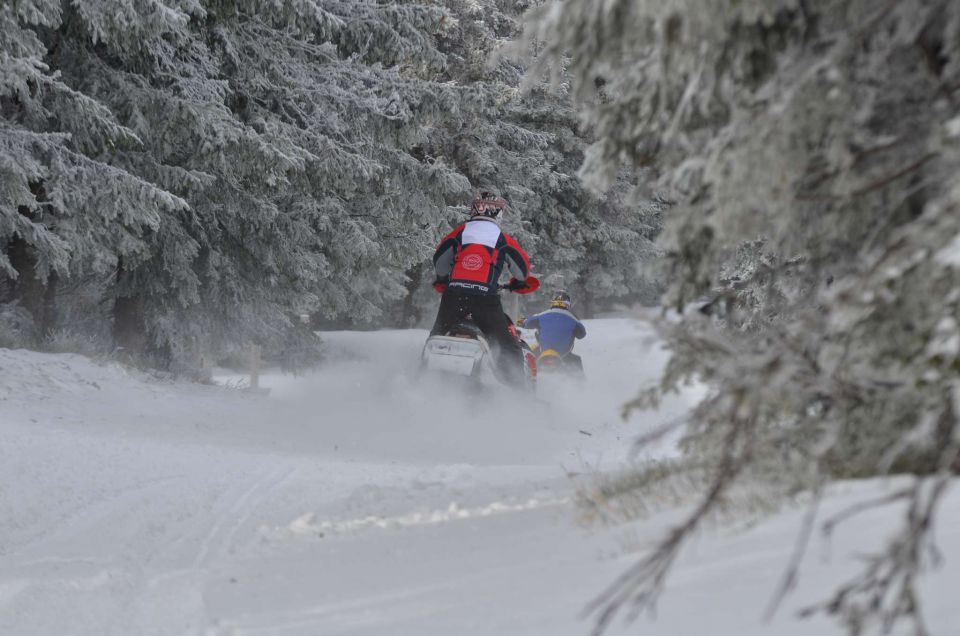 Kope 26.1.2014 part I. - foto povečava