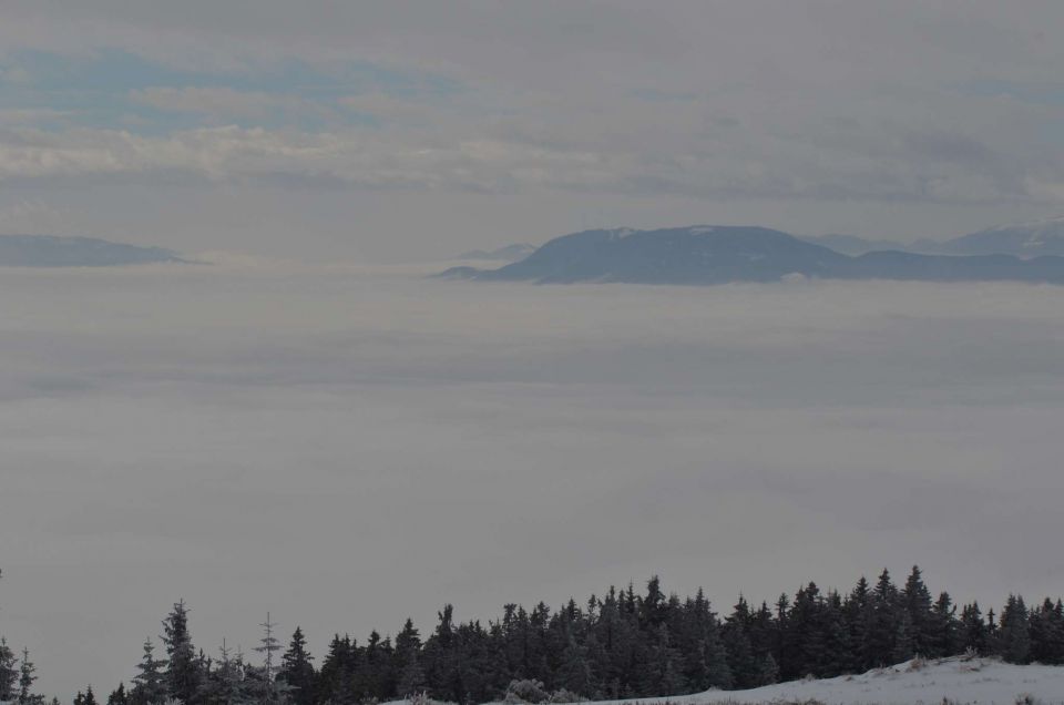 Kope 26.1.2014 part I. - foto povečava