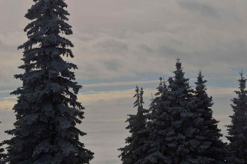 Kope 26.1.2014 part I. - foto povečava