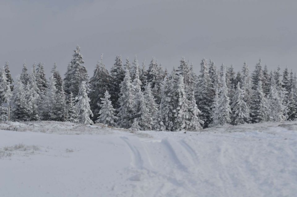 Kope 26.1.2014 part I. - foto povečava