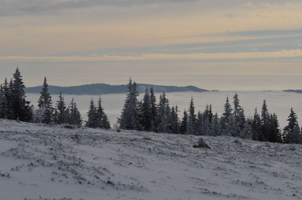 Kope 26.1.2014 part I. - foto povečava