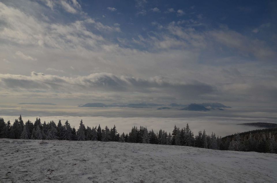 Kope 26.1.2014 part I. - foto povečava