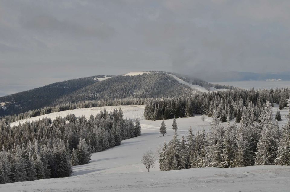 Kope 26.1.2014 part I. - foto povečava