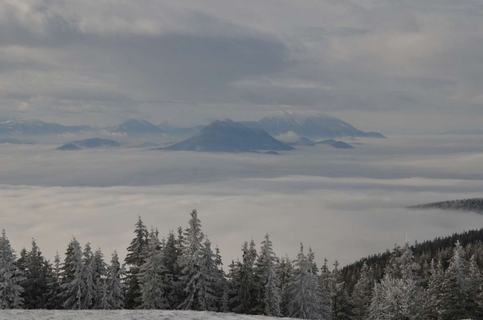 Kope 26.1.2014 part I. - foto povečava