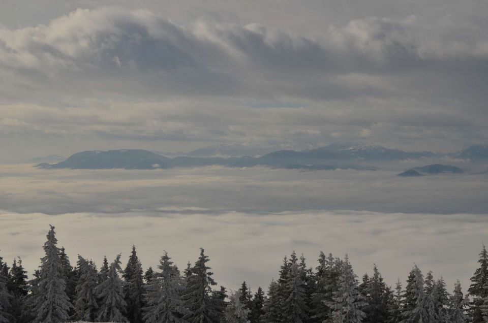 Kope 26.1.2014 part I. - foto povečava