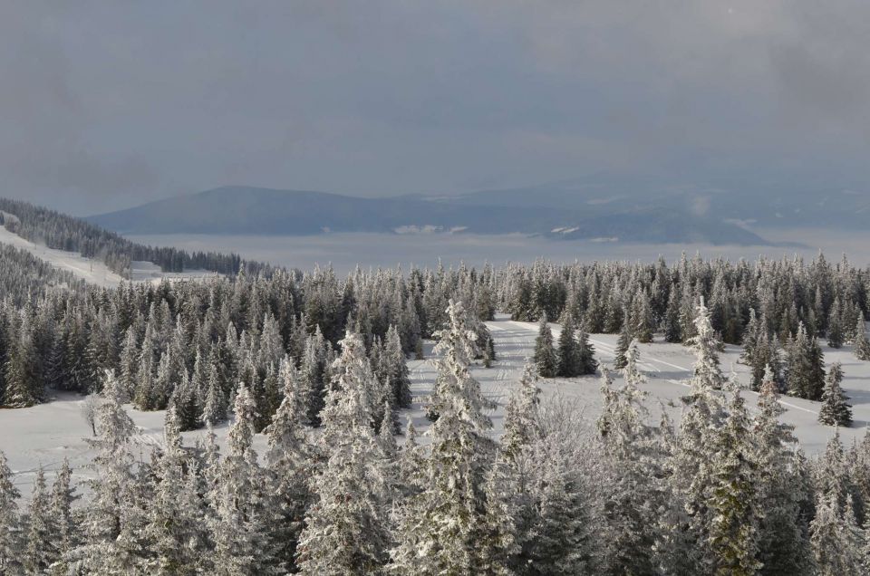 Kope 26.1.2014 part I. - foto povečava