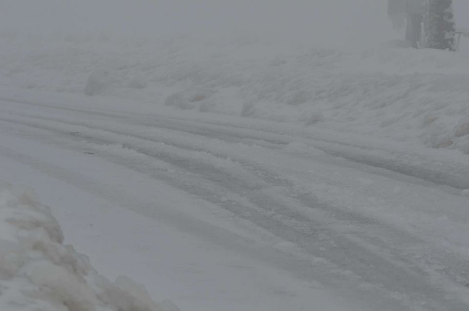 Žled Savinjska 2.2.2014 - foto povečava