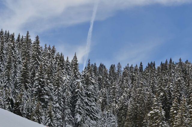 Smučanje Golte 15.2.2014 - foto