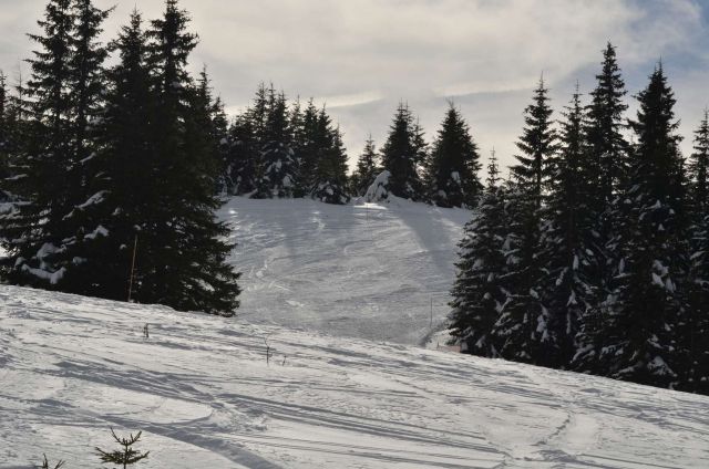 Smučanje Golte 15.2.2014 - foto