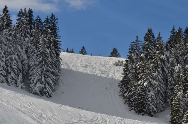 Smučanje Golte 15.2.2014 - foto