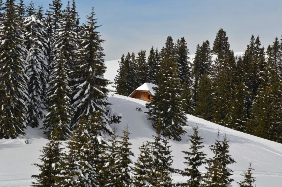 Smučanje Golte 15.2.2014 - foto povečava