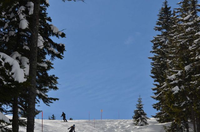 Smučanje Golte 15.2.2014 - foto