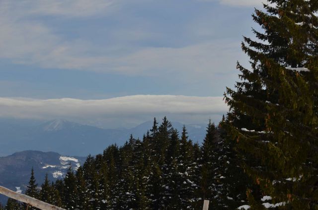 Smučanje Golte 15.2.2014 - foto