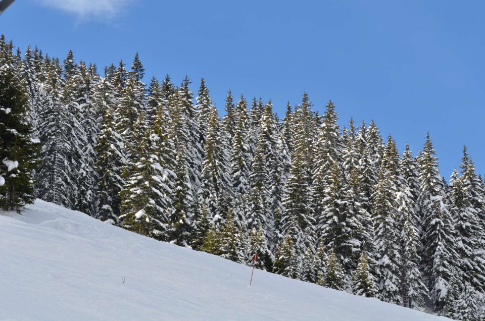 Smučanje Golte 15.2.2014 - foto povečava