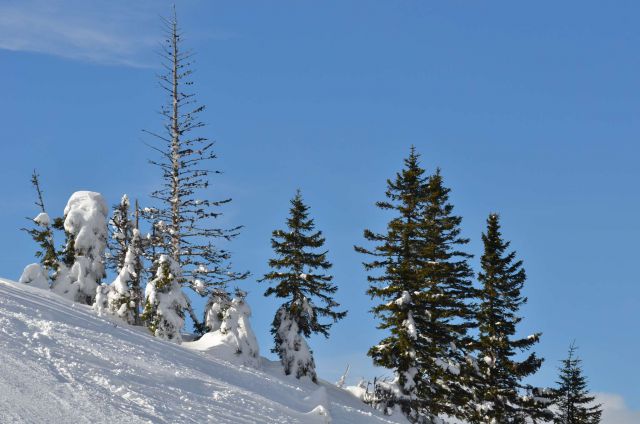 Smučanje Golte 15.2.2014 - foto