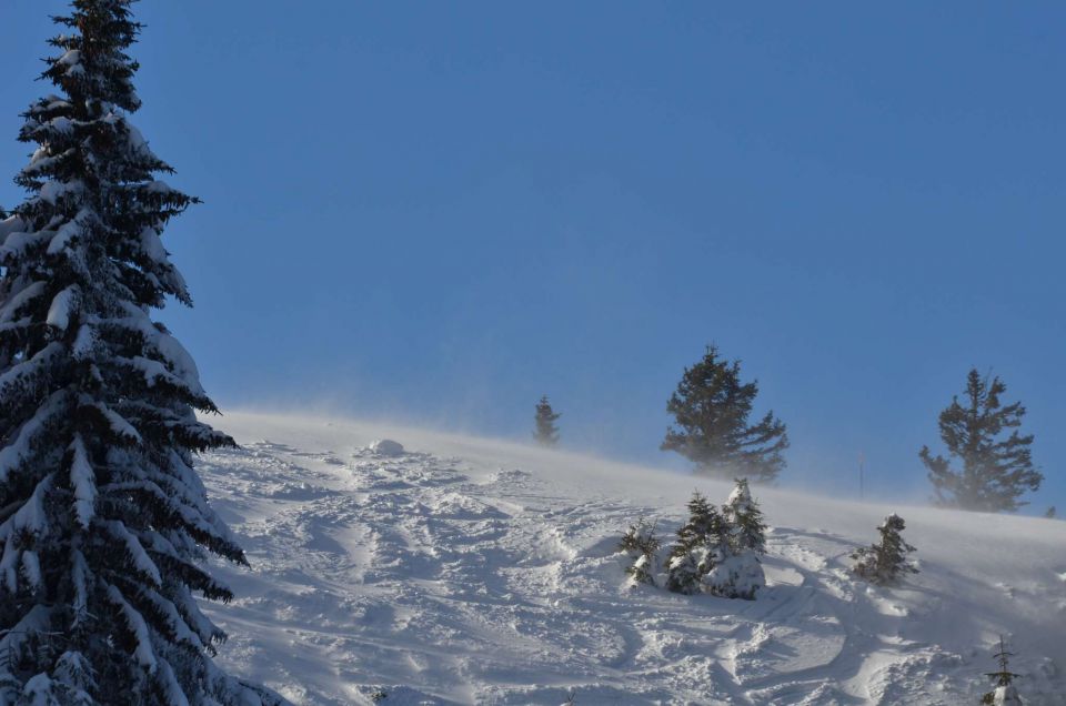 Smučanje Golte 15.2.2014 - foto povečava