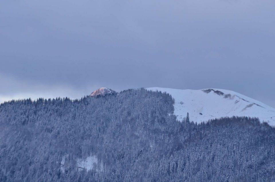 Smučanje Golte, pomlad Savinjska 23.2.2014 - foto povečava