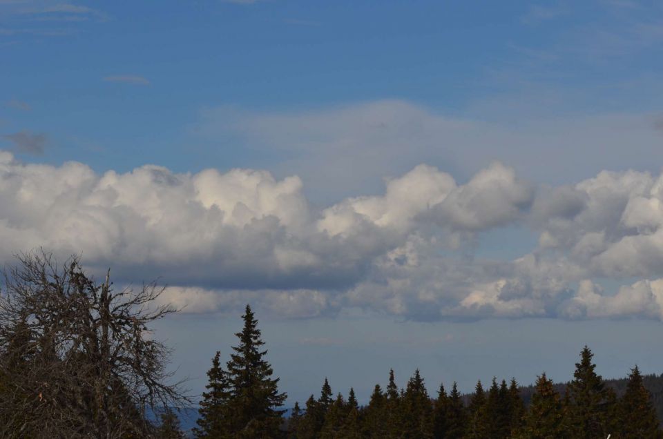 Počitnice - smučanje Rogla 27.2.2014 - foto povečava