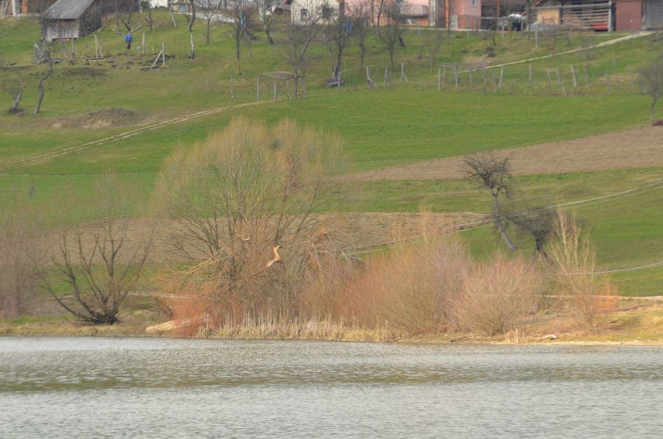 Počitnice - Šmartinsko jezero 28.2.2014 - foto povečava