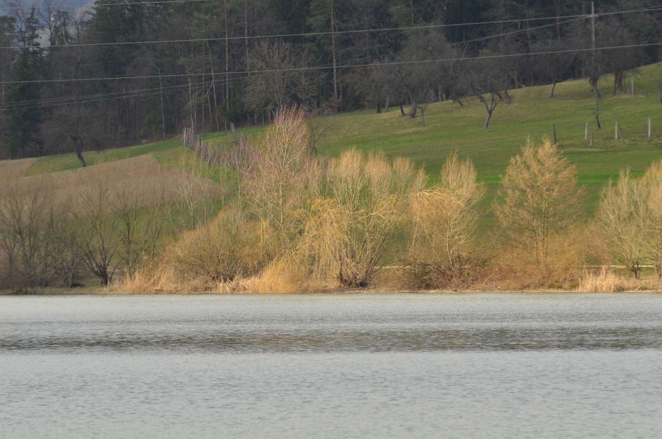 Počitnice - Šmartinsko jezero 28.2.2014 - foto povečava