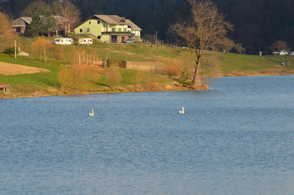 Počitnice - Šmartinsko jezero 28.2.2014 - foto povečava