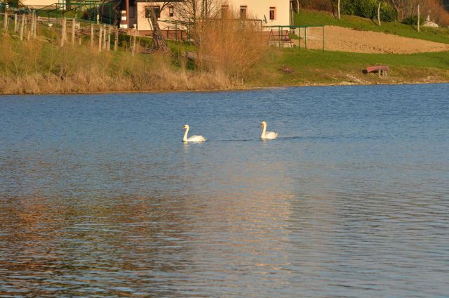 Počitnice - Šmartinsko jezero 28.2.2014 - foto