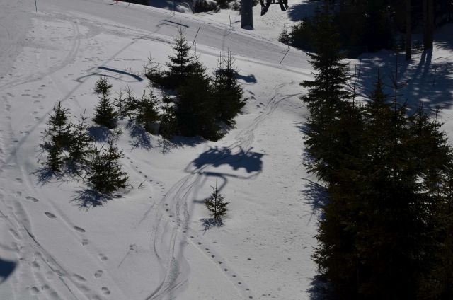 Smučanje Rogla 8.3.2014 - foto