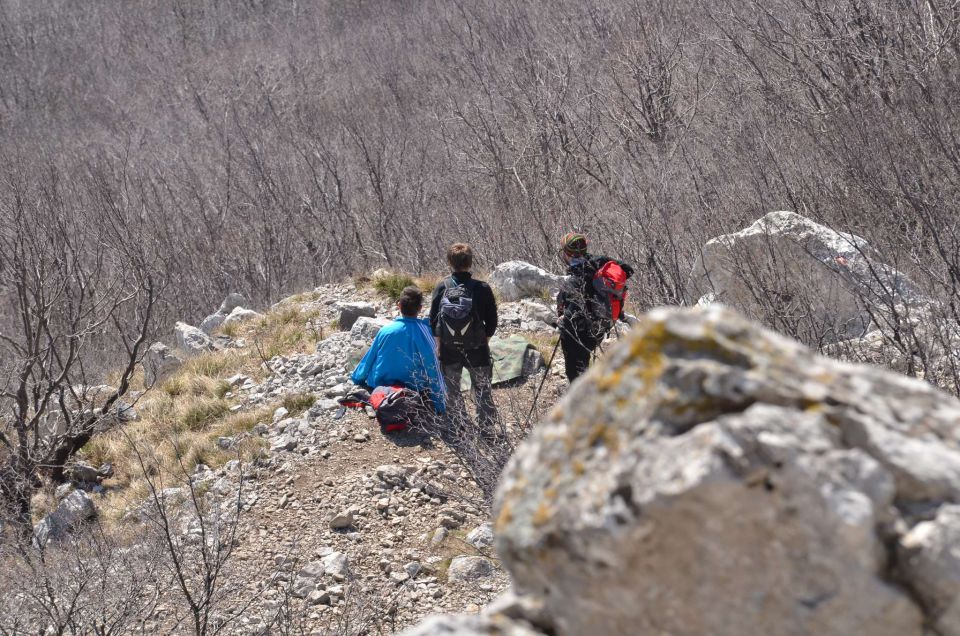 Nanos, Štanjel 9.3.2014 - foto povečava