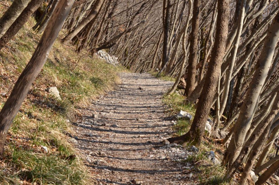 Nanos, Štanjel 9.3.2014 - foto povečava