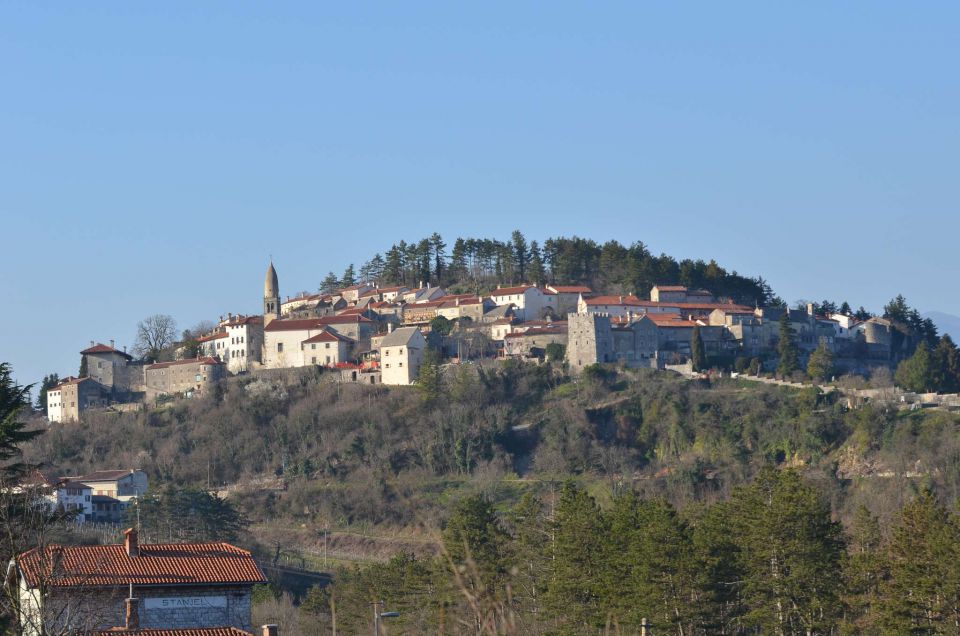 Nanos, Štanjel 9.3.2014 - foto povečava