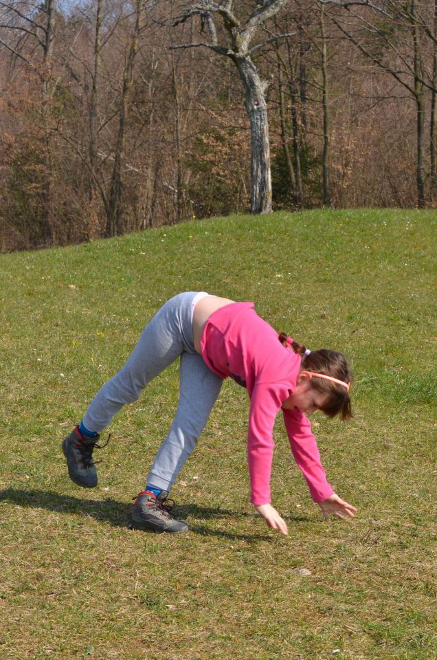 Limbarska gora, Savinjska 16.3.2014 - foto povečava