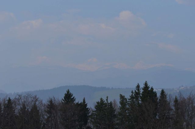 Limbarska gora, Savinjska 16.3.2014 - foto