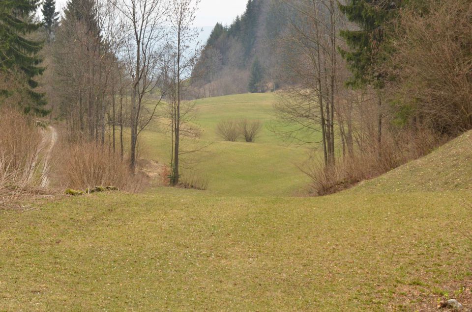 Kum čez Čebulovo dolino 22.3.2014 - foto povečava