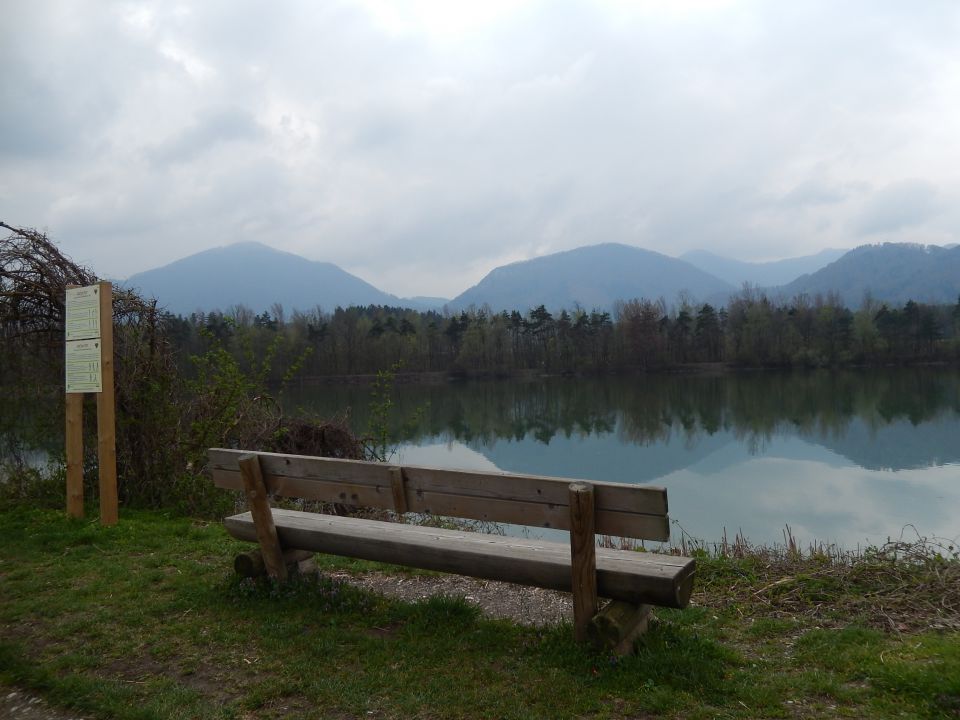 Ribnik Vrbje, Celje, 26.03.2014 - foto povečava