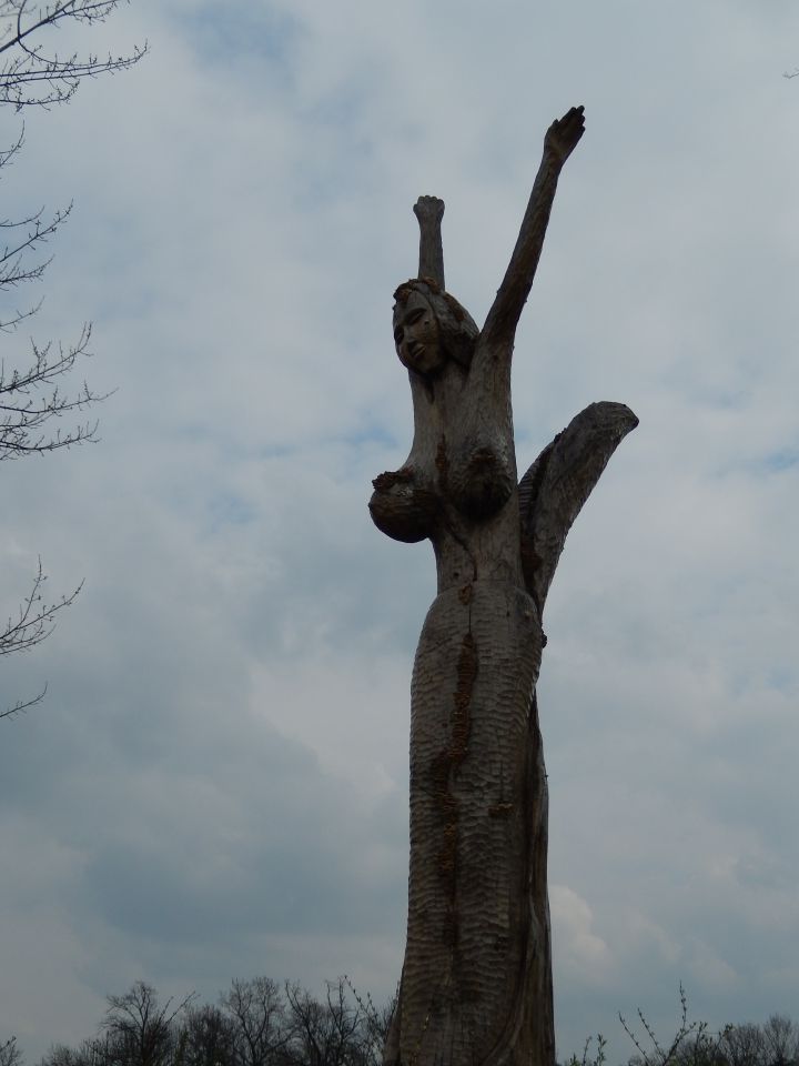 Ribnik Vrbje, Celje, 26.03.2014 - foto povečava