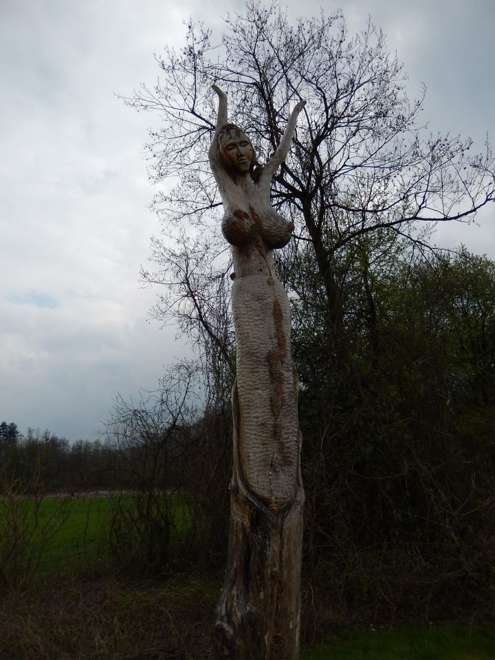 Ribnik Vrbje, Celje, 26.03.2014 - foto povečava